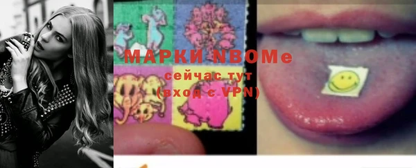 гашик Елабуга