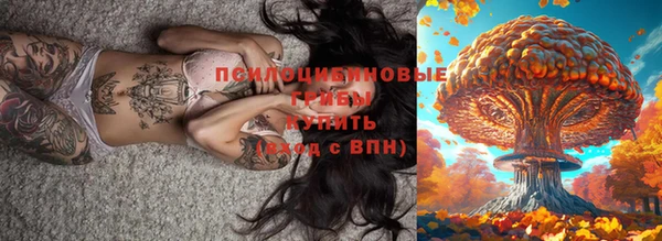 таблы Алексин